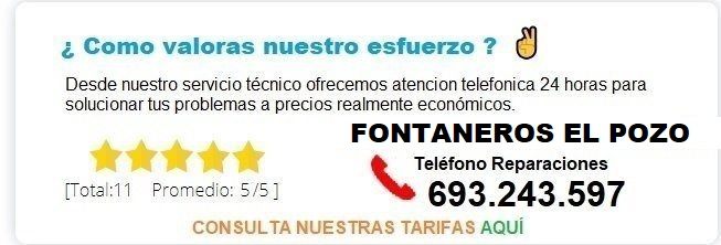 Fontanero El Pozo precio